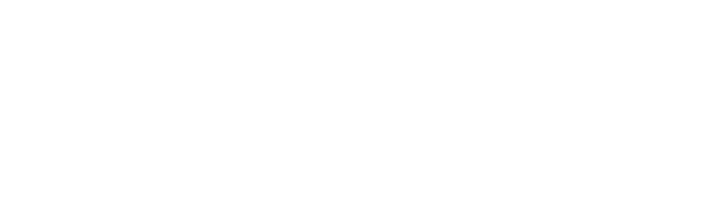 د. محمد صفيان